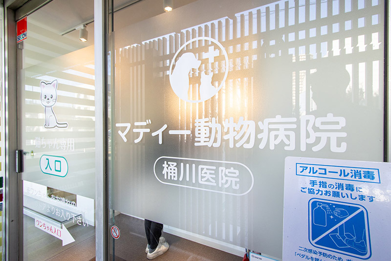 入口写真